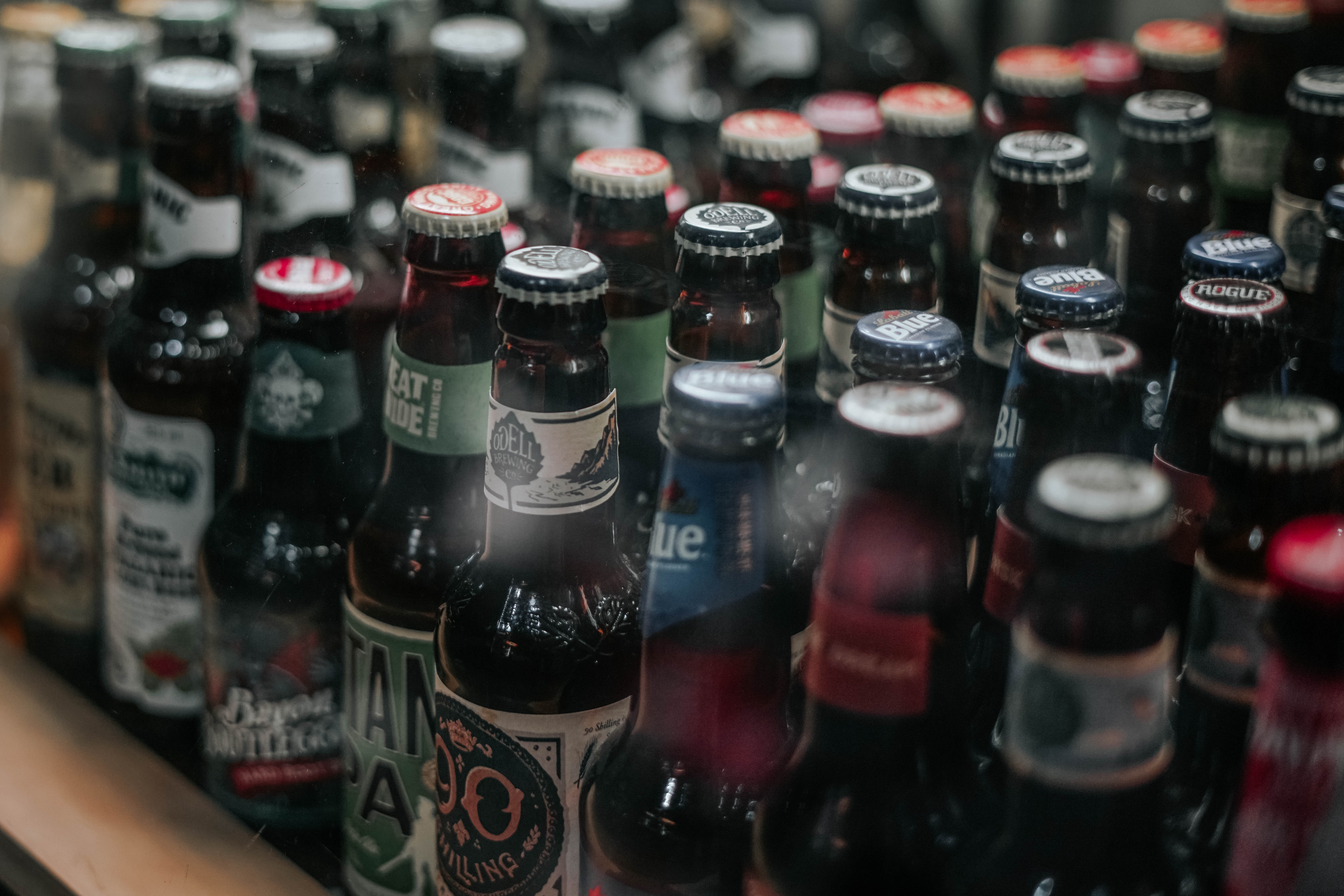 Fermentation Science: Brewing